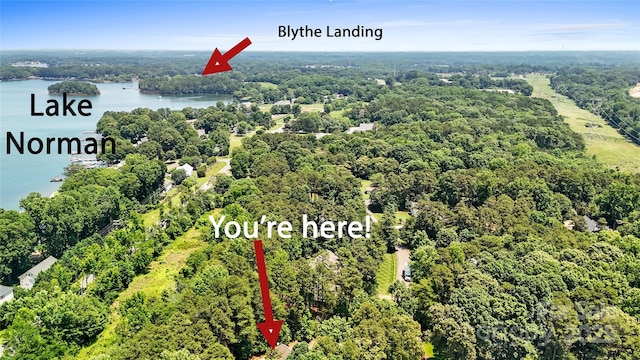 14130 Lea Point Ct, Huntersville, NC 28078 - aerial view of a heavily wooded area and a nearby body of water