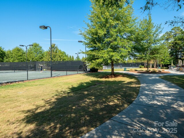 43014 Mimosa Ct, Indian Land, SC 29707 - photo 36