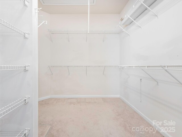 43014 Mimosa Ct, Indian Land, SC 29707 - photo 21