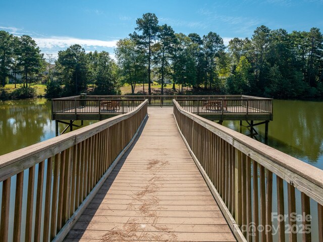 43014 Mimosa Ct, Indian Land, SC 29707 - photo 29