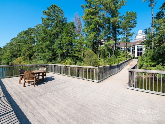 43014 Mimosa Ct, Indian Land, SC 29707 - photo 30