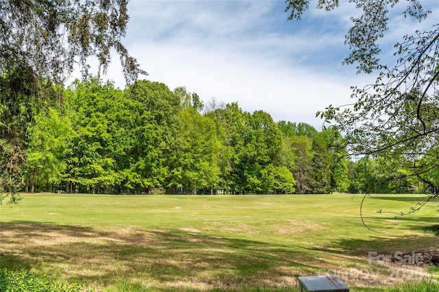 10316 Whitethorn Dr, Charlotte, NC 28277 - view of yard with view of golf course