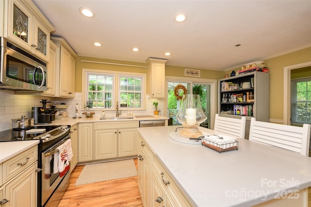 10316 Whitethorn Dr, Charlotte, NC 28277 - kitchen featuring light countertops, stainless steel appliances, and a sink