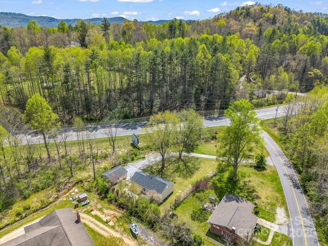 565 Nicholson Creek Rd, Brevard, NC 28712 - photo 44