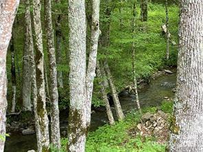 9405 NC-261 Hwy, Bakersville, NC 28705 - photo 8