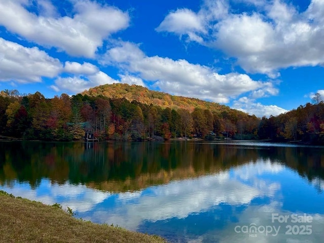 property view of water featuring a wooded view