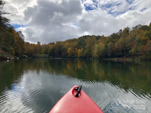 view of dock featuring a view of trees and a water view