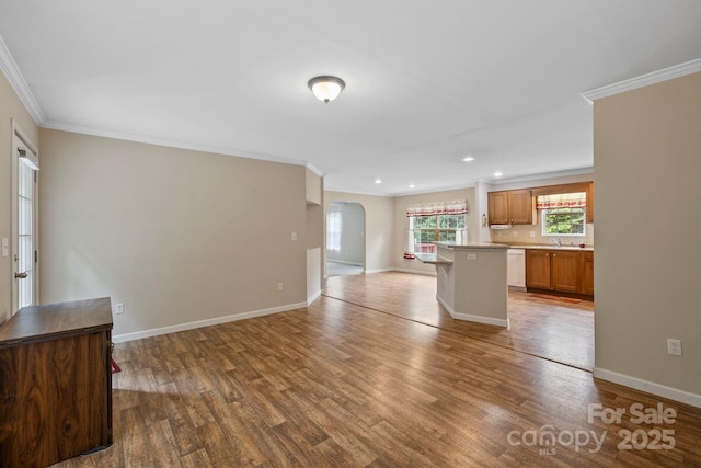 255 Jackson Loop Rd, Flat Rock, NC 28731 - unfurnished living room featuring arched walkways, crown molding, dark wood finished floors, a sink, and recessed lighting