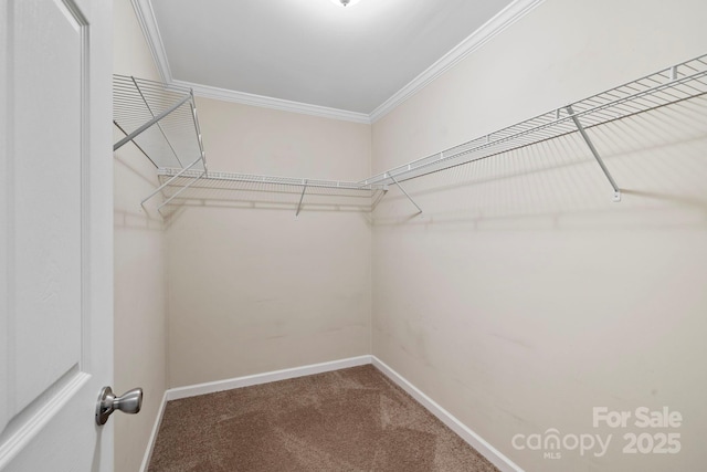255 Jackson Loop Rd, Flat Rock, NC 28731 - spacious closet with carpet floors