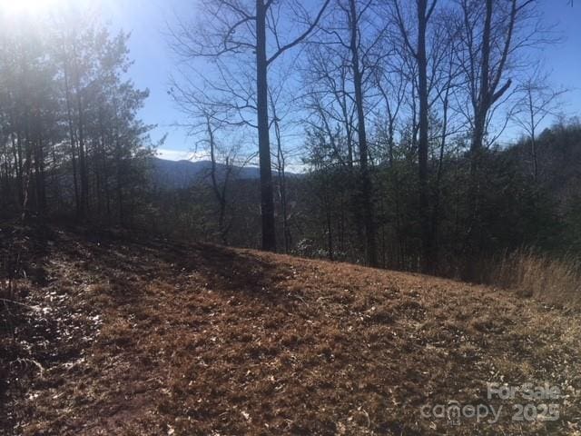 30 Mountain Pkwy, Mill Spring, NC 28756