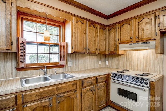 kitchen featuring a sink, white range with electric cooktop, brown cabinetry, decorative light fixtures, and under cabinet range hood