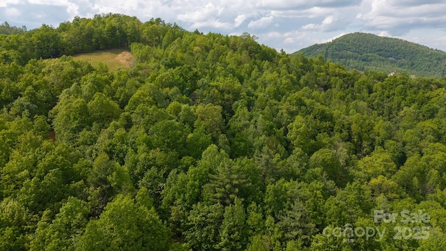 TBD Treadway Ridge Dr Unit 1, Moravian Falls, NC 28654 - photo 1