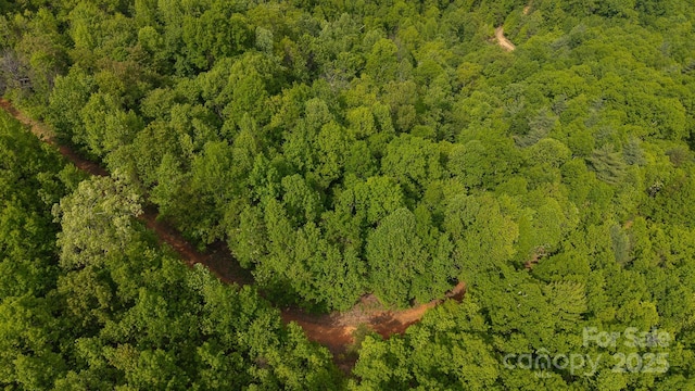 TBD Treadway Ridge Dr Unit 1, Moravian Falls, NC 28654 - photo 2
