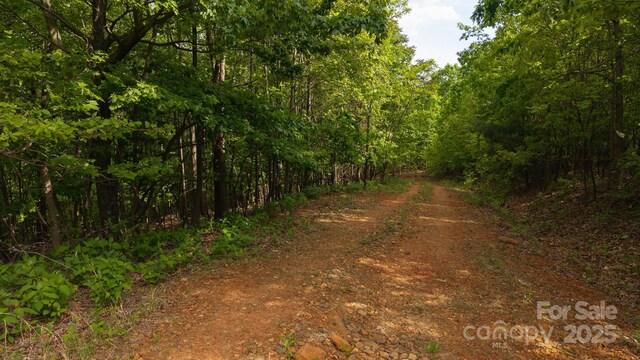 TBD Treadway Ridge Dr Unit 1, Moravian Falls, NC 28654 - photo 3