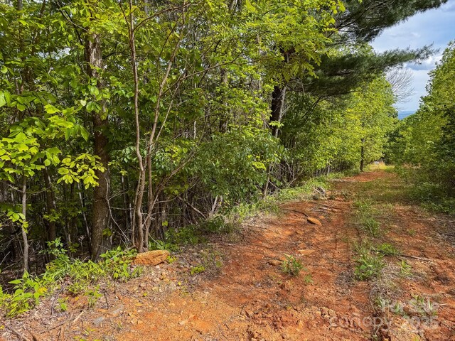 TBD Treadway Ridge Dr Unit 1, Moravian Falls, NC 28654 - photo 4
