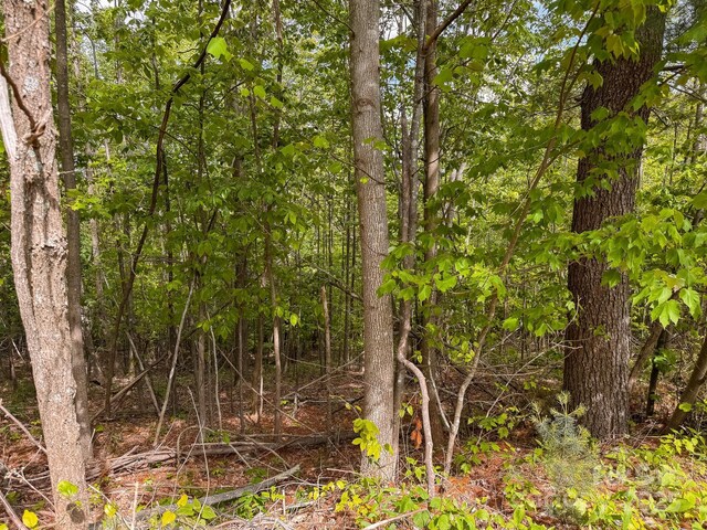 TBD Treadway Ridge Dr Unit 1, Moravian Falls, NC 28654 - photo 5