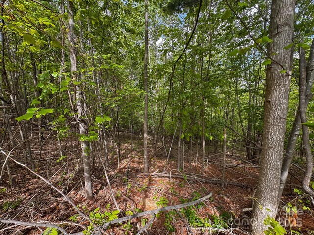 TBD Treadway Ridge Dr Unit 1, Moravian Falls, NC 28654 - photo 6