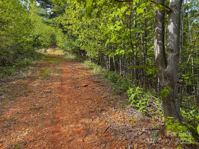 TBD Treadway Ridge Dr Unit 1, Moravian Falls, NC 28654 - photo 8