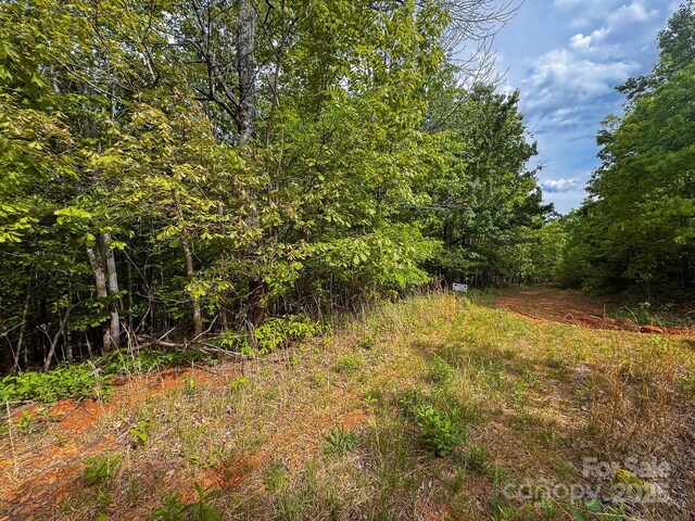 TBD Treadway Ridge Dr Unit 1, Moravian Falls, NC 28654 - photo 9