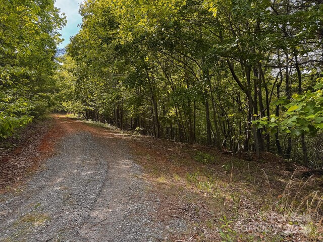 TBD Treadway Ridge Dr Unit 1, Moravian Falls, NC 28654 - photo 11