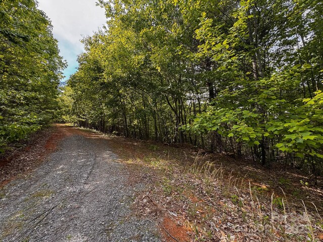 TBD Treadway Ridge Dr Unit 1, Moravian Falls, NC 28654 - photo 12