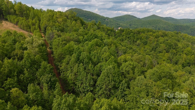 TBD Treadway Ridge Dr Unit 1, Moravian Falls, NC 28654 - photo 18