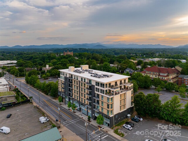 45 Asheland Ave Unit 405, Asheville, NC 28801 - photo 38