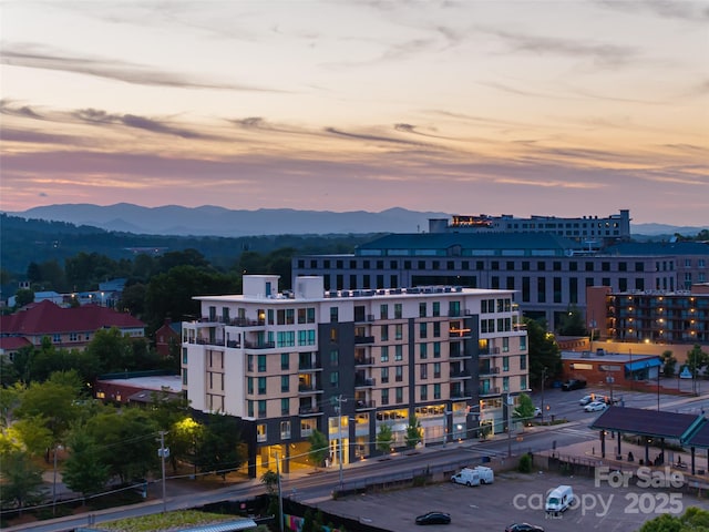 45 Asheland Ave Unit 405, Asheville, NC 28801 - photo 44