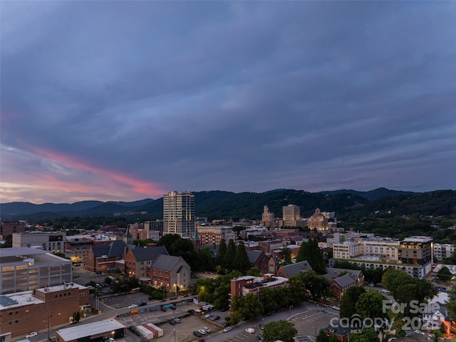 45 Asheland Ave Unit 405, Asheville, NC 28801 - photo 45