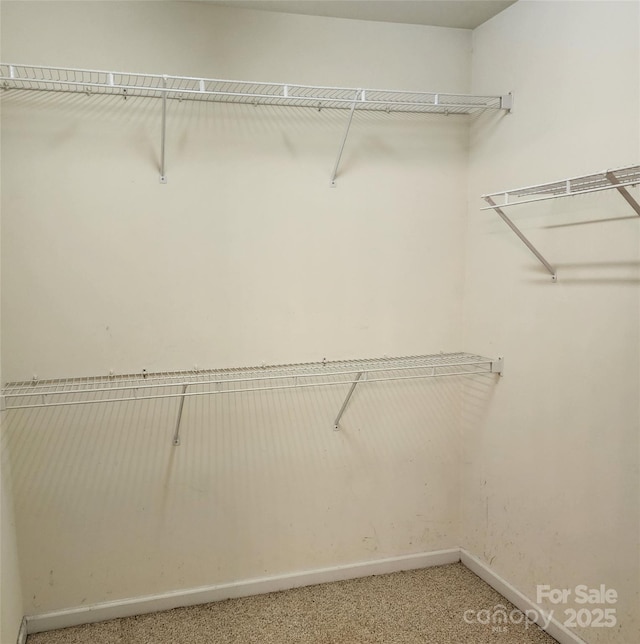 spacious closet with light carpet