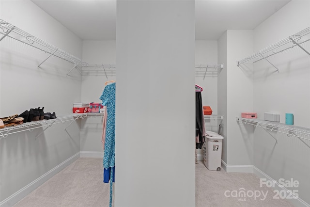 1390 Cedardale Ln, Denver, NC 28037 - spacious closet featuring carpet flooring