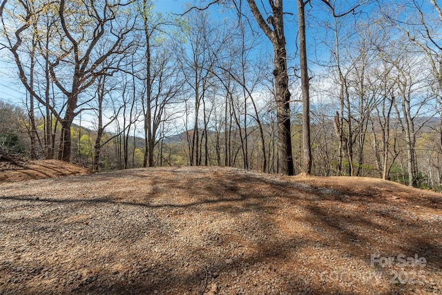 99999 Sunset Dr, Black Mountain, NC 28711 - photo 1