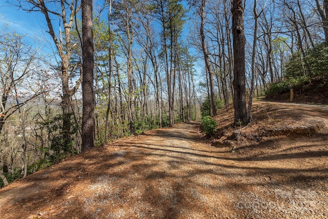 99999 Sunset Dr, Black Mountain, NC 28711 - photo 2