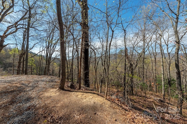 99999 Sunset Dr, Black Mountain, NC 28711 - photo 3