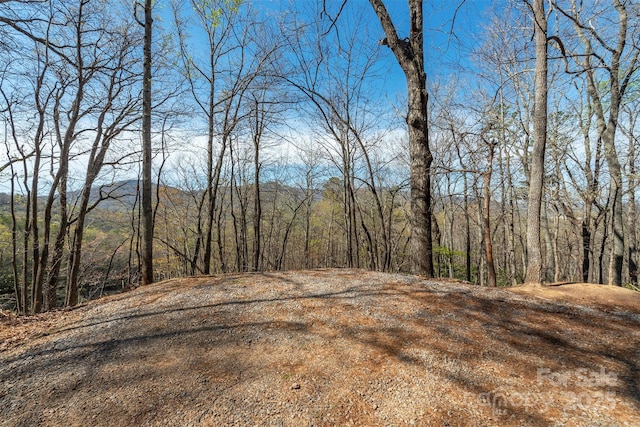 99999 Sunset Dr, Black Mountain, NC 28711 - photo 4