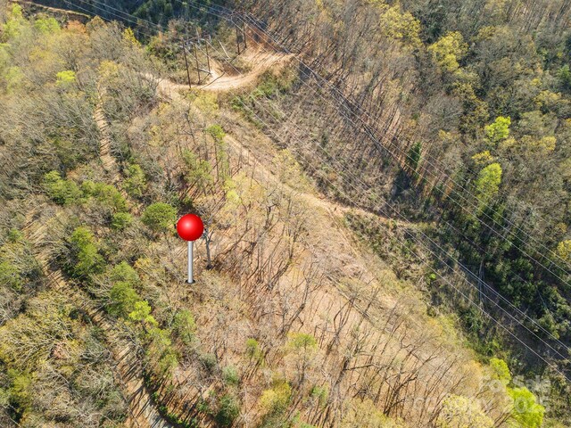 99999 Sunset Dr, Black Mountain, NC 28711 - photo 5