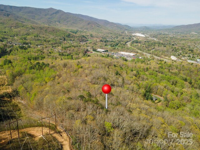 99999 Sunset Dr, Black Mountain, NC 28711 - photo 6