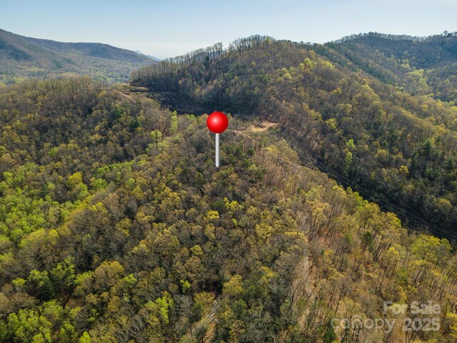 99999 Sunset Dr, Black Mountain, NC 28711 - photo 7