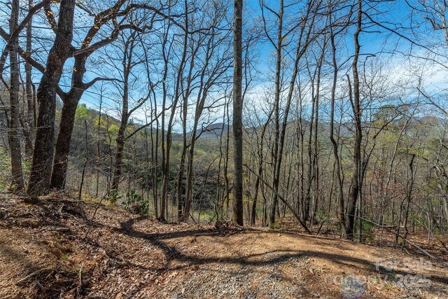 99999 Sunset Dr, Black Mountain, NC 28711 - photo 8