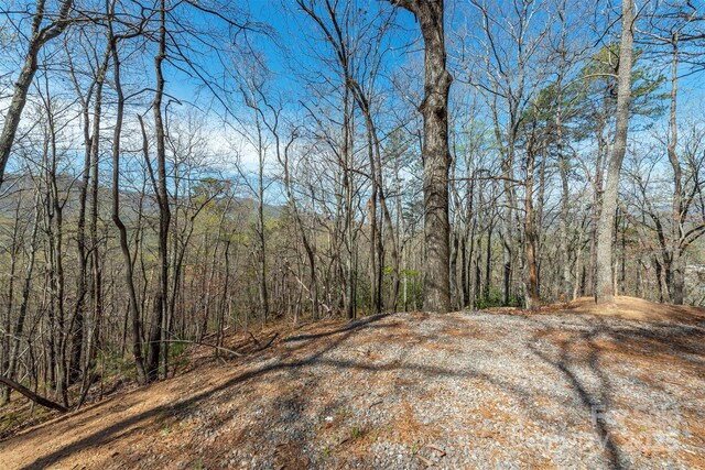 99999 Sunset Dr, Black Mountain, NC 28711 - photo 9