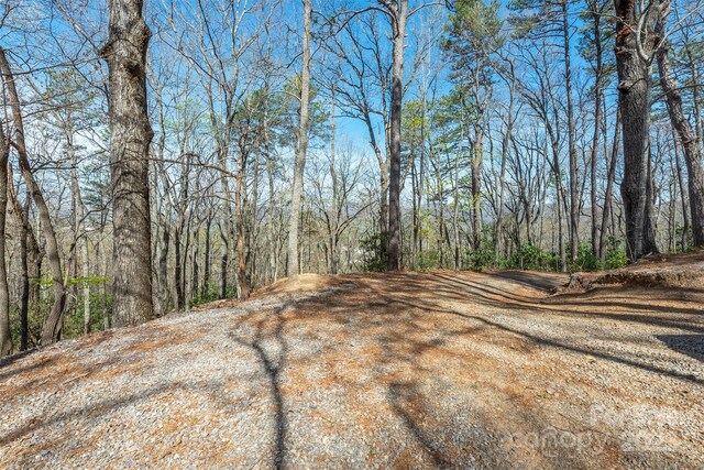 99999 Sunset Dr, Black Mountain, NC 28711 - photo 10