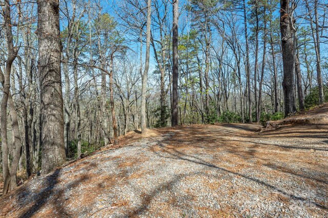 99999 Sunset Dr, Black Mountain, NC 28711 - photo 11