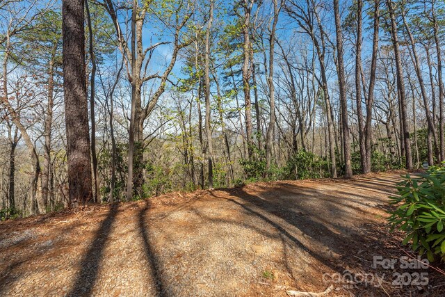 99999 Sunset Dr, Black Mountain, NC 28711 - photo 12