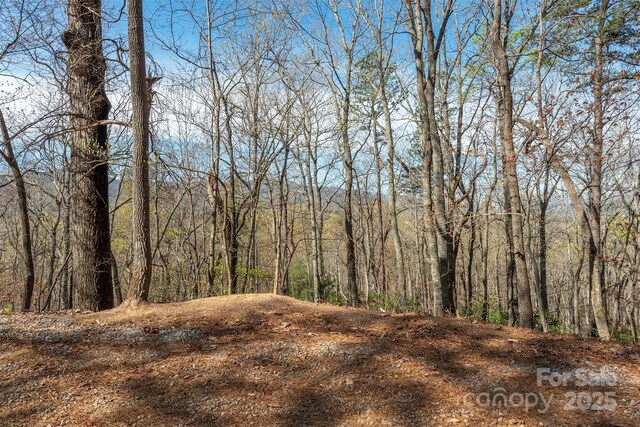 99999 Sunset Dr, Black Mountain, NC 28711 - photo 13