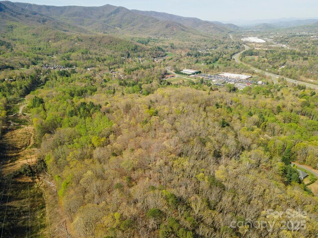 99999 Sunset Dr, Black Mountain, NC 28711 - photo 14