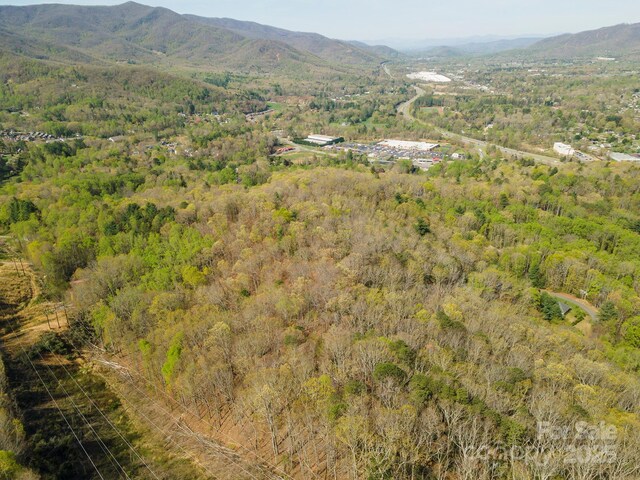 99999 Sunset Dr, Black Mountain, NC 28711 - photo 15