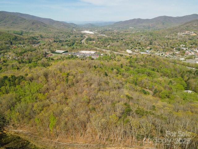 99999 Sunset Dr, Black Mountain, NC 28711 - photo 16