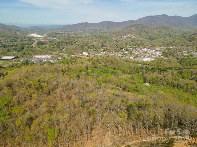 99999 Sunset Dr, Black Mountain, NC 28711 - photo 17