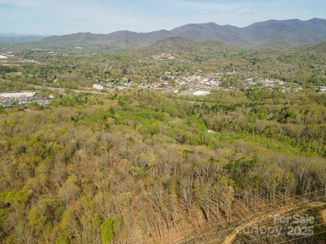 99999 Sunset Dr, Black Mountain, NC 28711 - photo 18