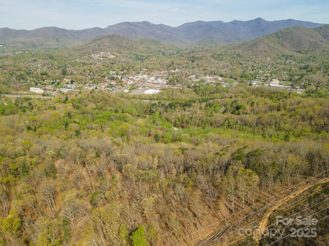 99999 Sunset Dr, Black Mountain, NC 28711 - photo 19